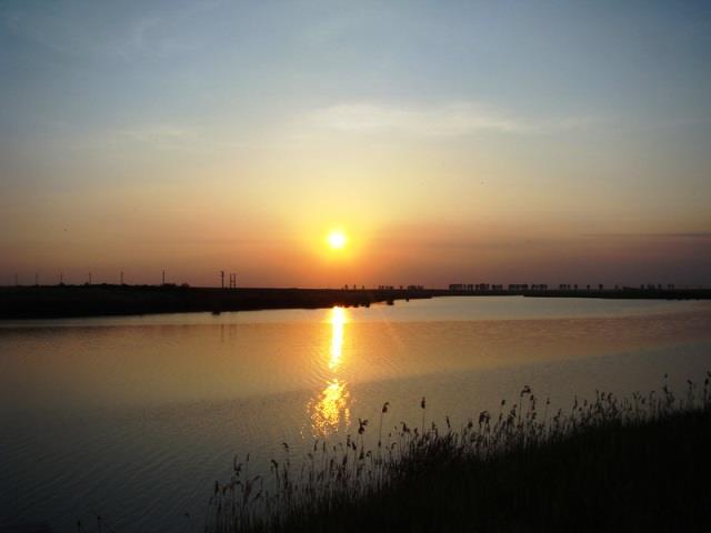 Doar ... NATURA - 4 - dsc02041resize1.jpg